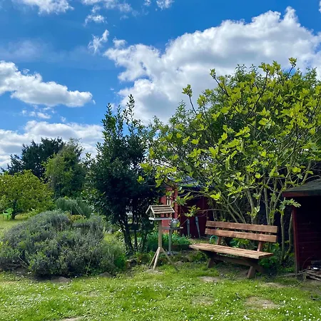 La Maison Angele לינה וארוחת בוקר *