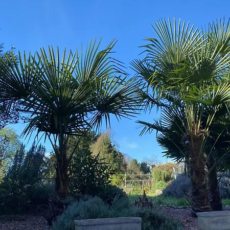 La Maison Angele Caisnes