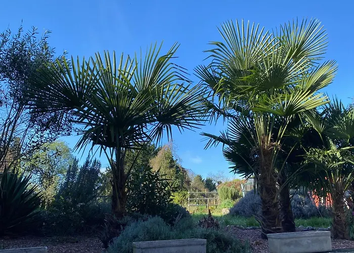 La Maison Angele Caisnes